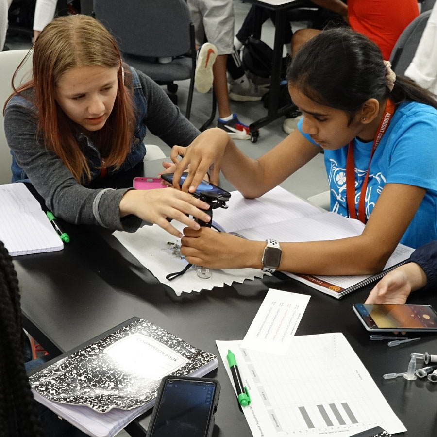 Stem Yea 2022