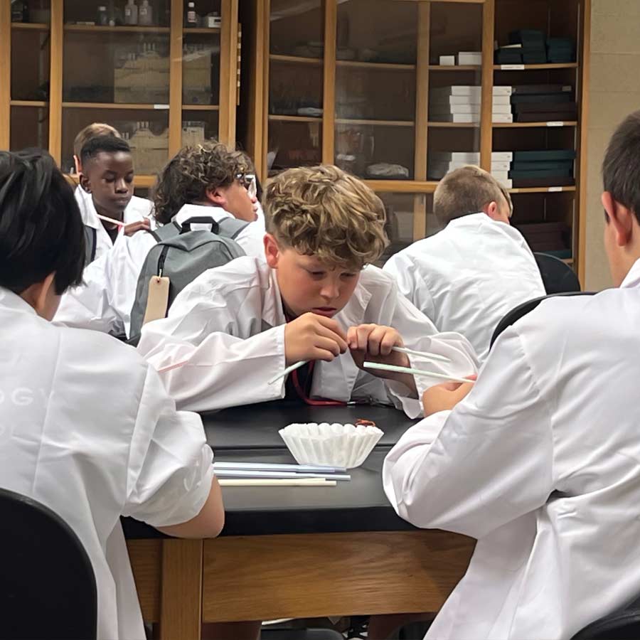 Stem Yea 2025