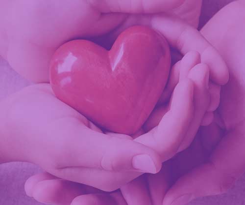 Learn how you can sponsor or donate towards our cause