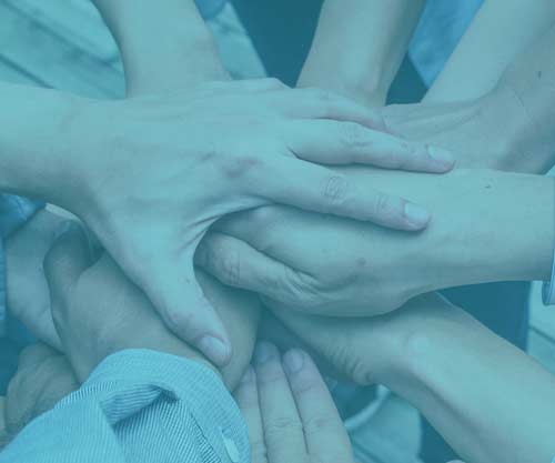 Learn how you can volunteer for our cause